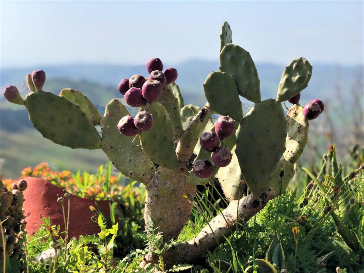 Evergreen House Agrigento Dış mekan fotoğraf