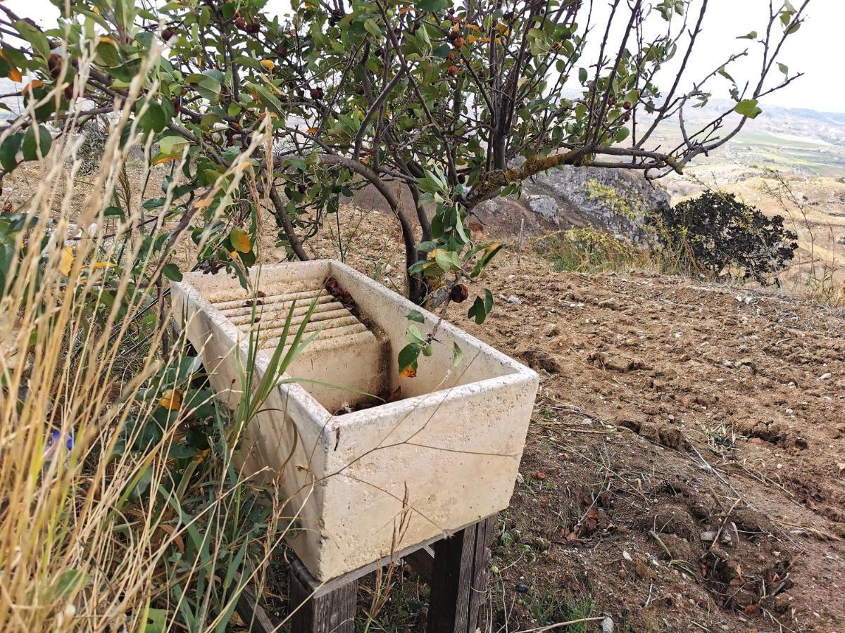 Evergreen House Agrigento Dış mekan fotoğraf